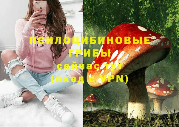 ECSTASY Гусиноозёрск