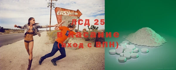 ГАЛЛЮЦИНОГЕННЫЕ ГРИБЫ Горно-Алтайск