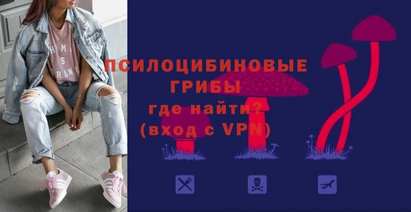 ГАЛЛЮЦИНОГЕННЫЕ ГРИБЫ Горно-Алтайск