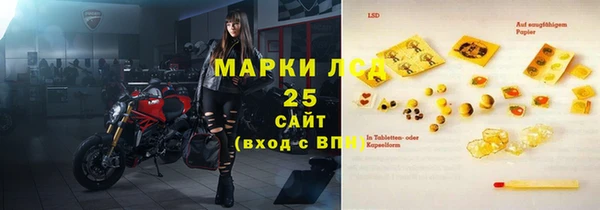 сатива Горняк