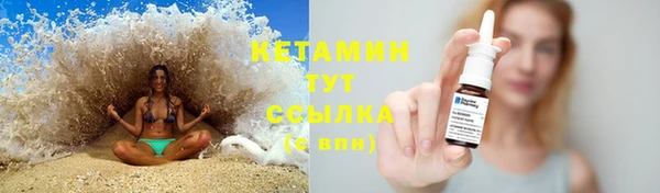 ГАЛЛЮЦИНОГЕННЫЕ ГРИБЫ Горно-Алтайск