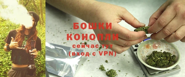 ECSTASY Гусиноозёрск