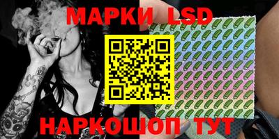 индика Аргун